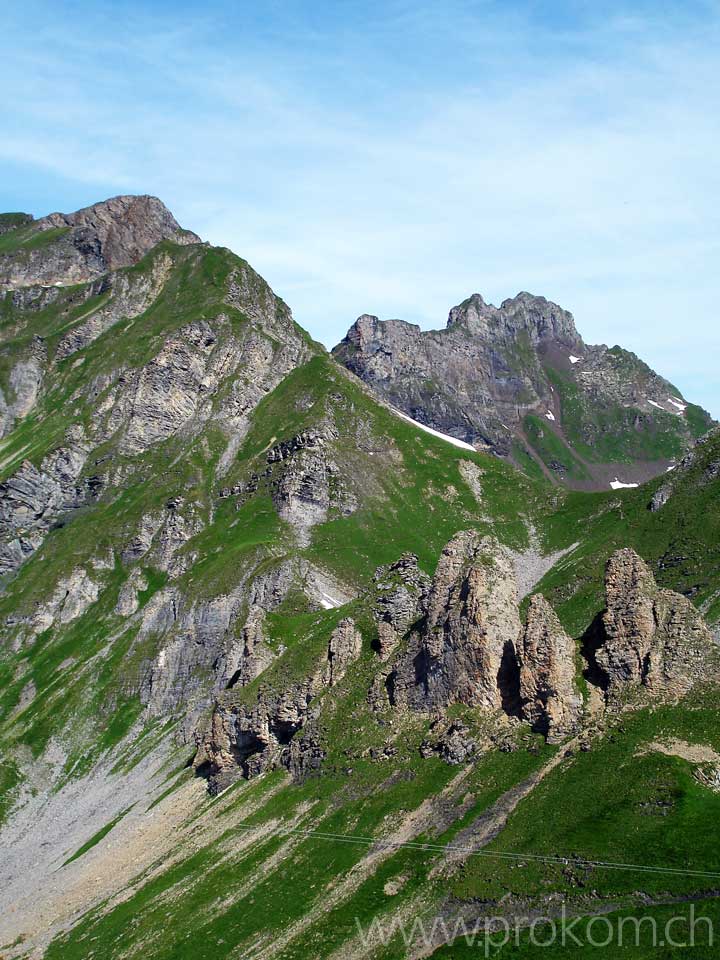 Alpenlöwenmäulchen