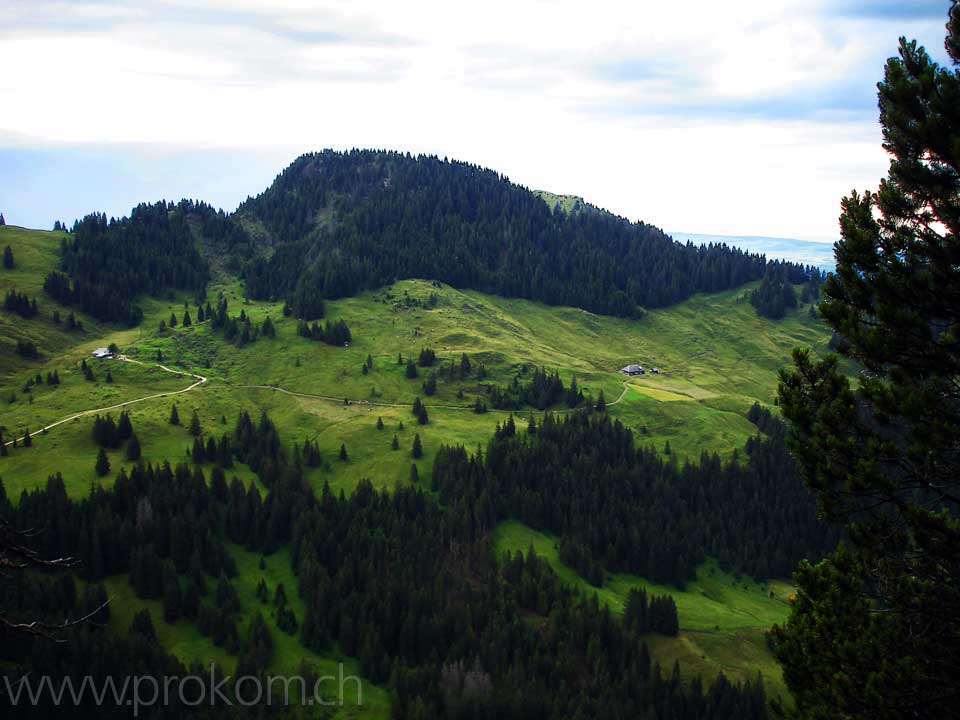 hinauf zum Mittaggüpfi