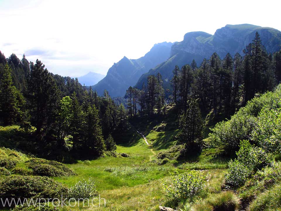 hinauf zum Mittaggüpfi