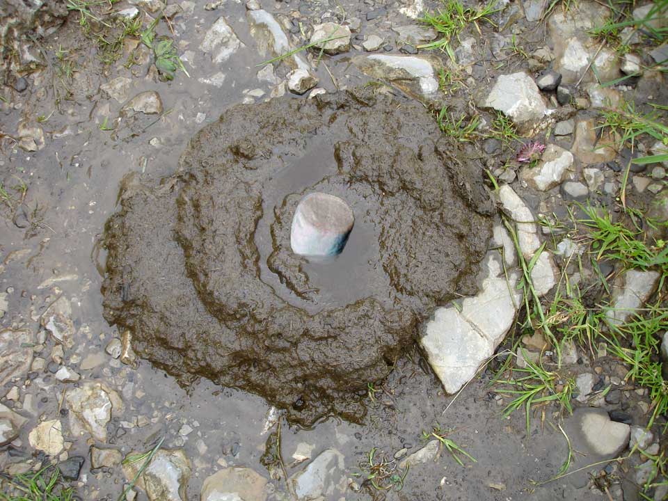 a huge cow patty with a piece of marshmallow