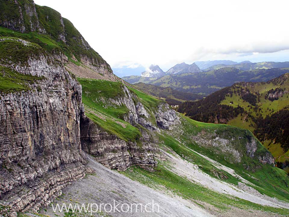 westliche Flanke des Forstbergs