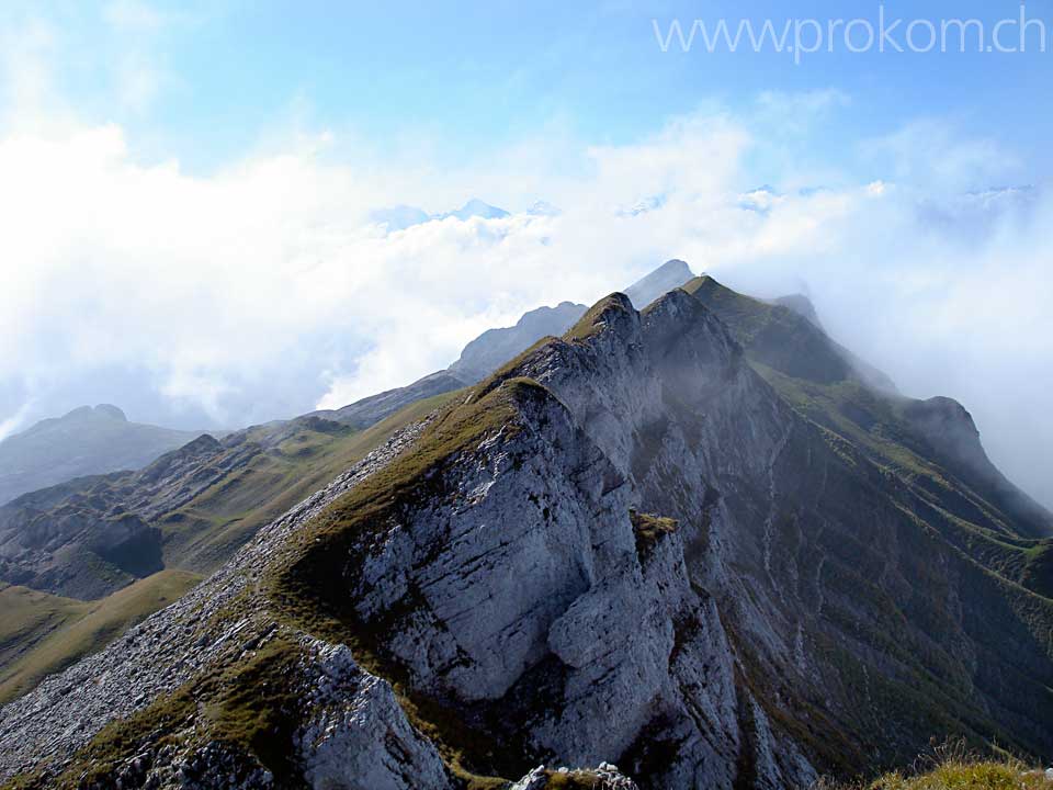 Blick zurück zum Schibengütsch