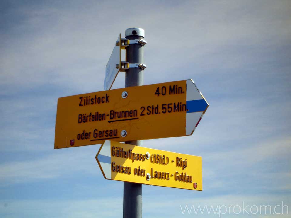 Rigi Hochflue