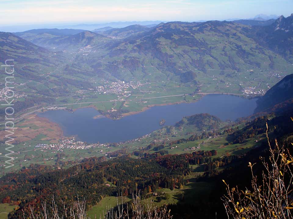 Lauerzersee