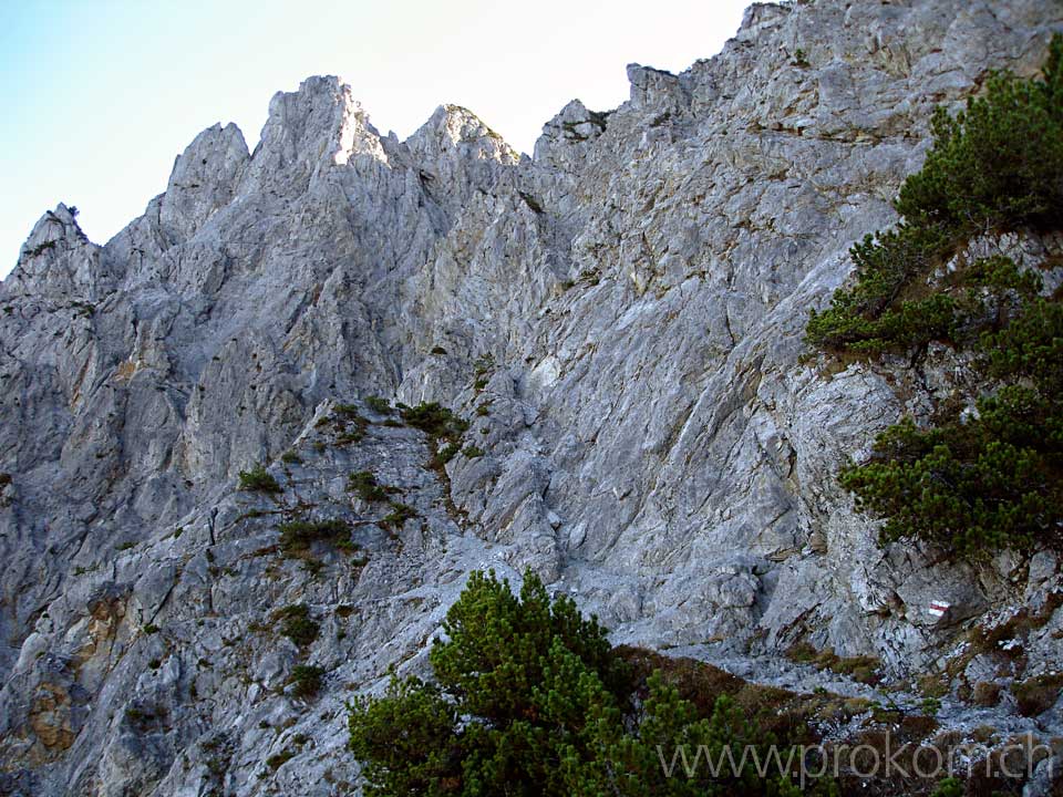 Felsen