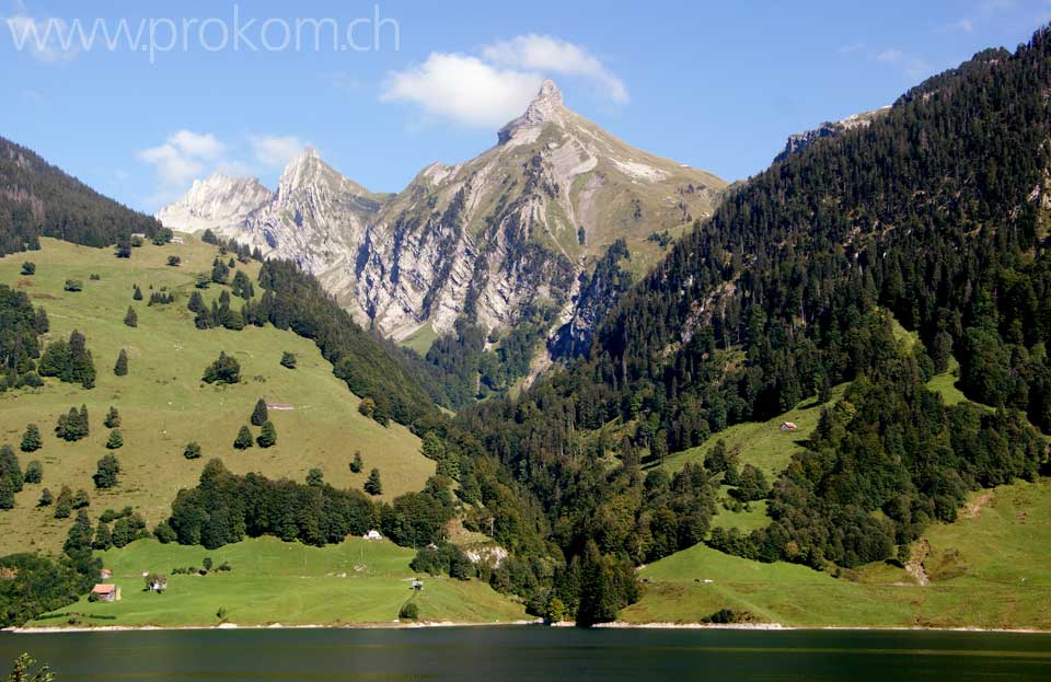 Zindlenspitz, Wägitalersee