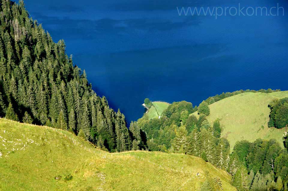 Blick hinab, zum Wägitalersee