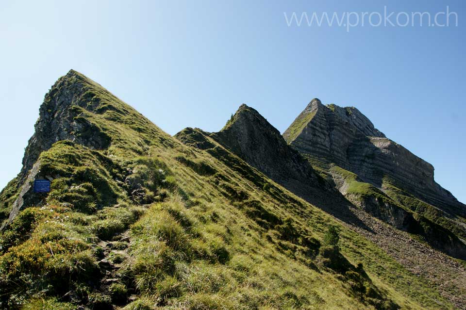 Blick zurück