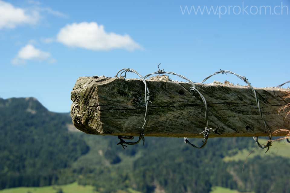 «Gipfel»kreuz Aberli