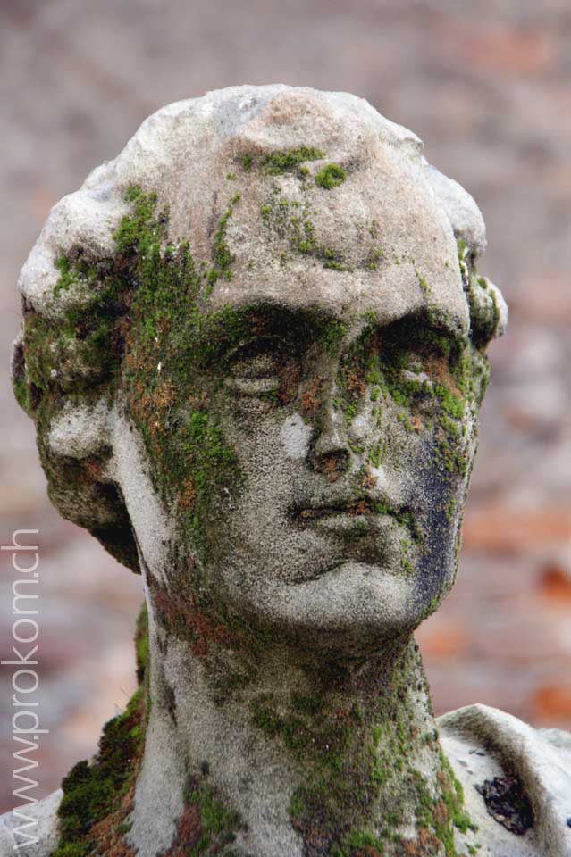 Il Teatro Olimpico di Vicenza