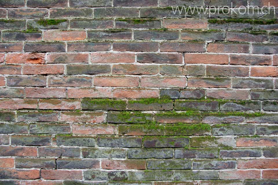 Alte Mauer mit Moos, mitten in Vicenza – die Stadt ist voller Leben!