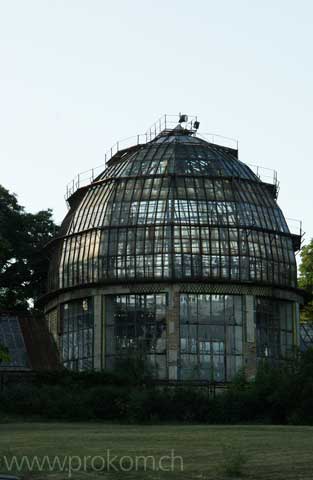 zentrale botanische Garten N.N. Grischko