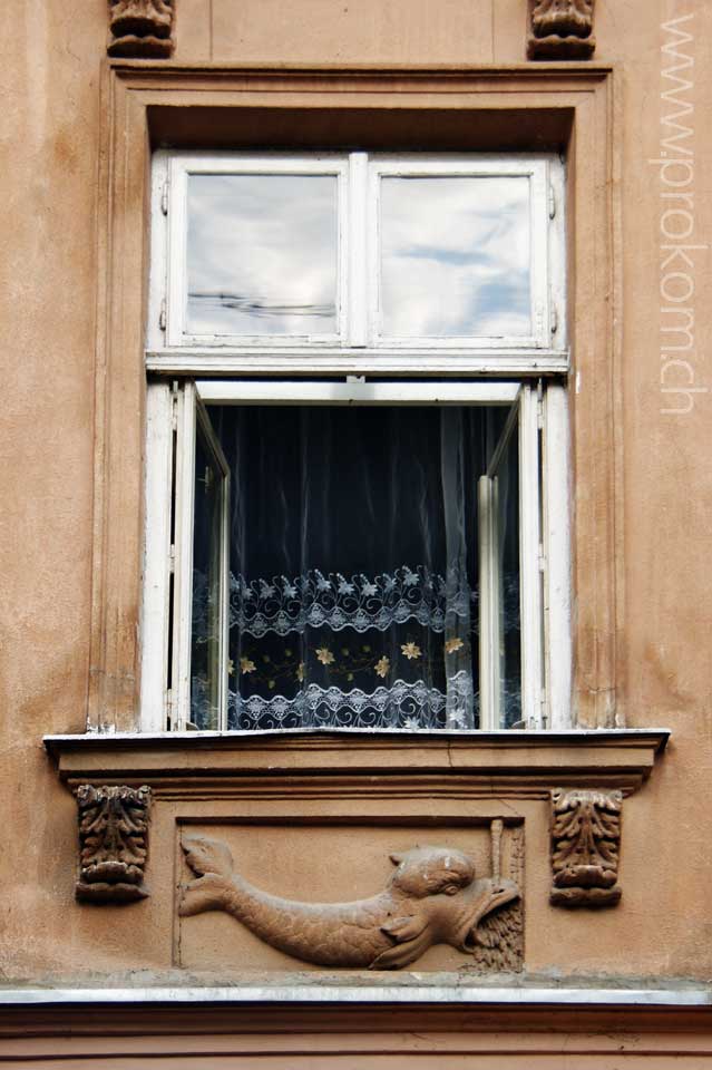 Fenster in Lwow