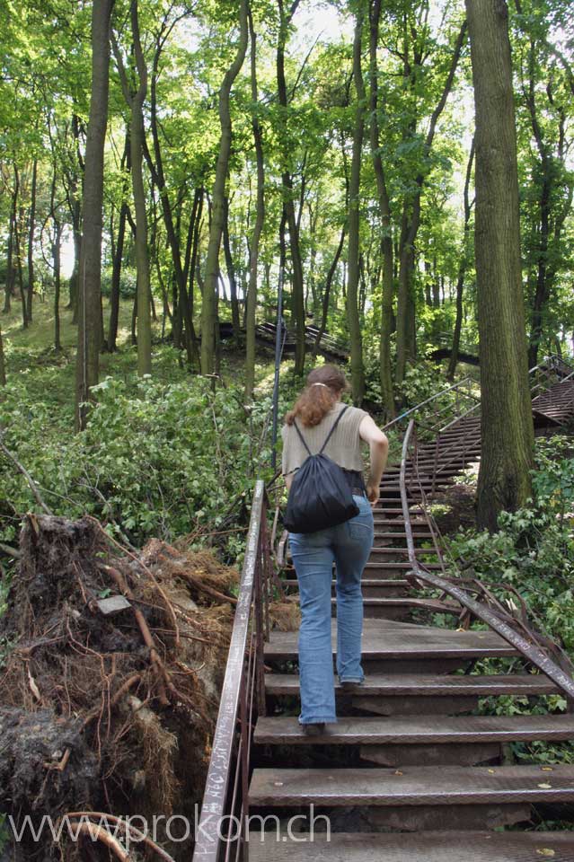 Die Treppe durch den Wald zum Hohen Schloss oder Hohen Schlossberg hinauf