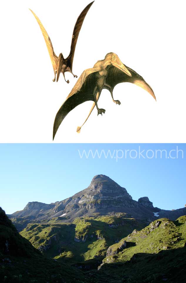 Pterodactylus beim Chaiserstock